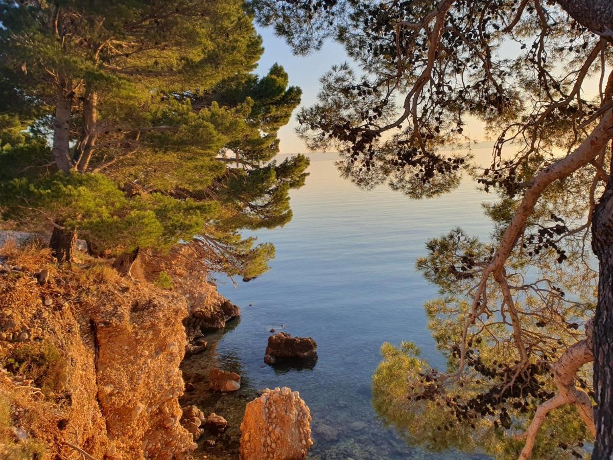 Apartment Miskovic Makarska Eksteriør billede